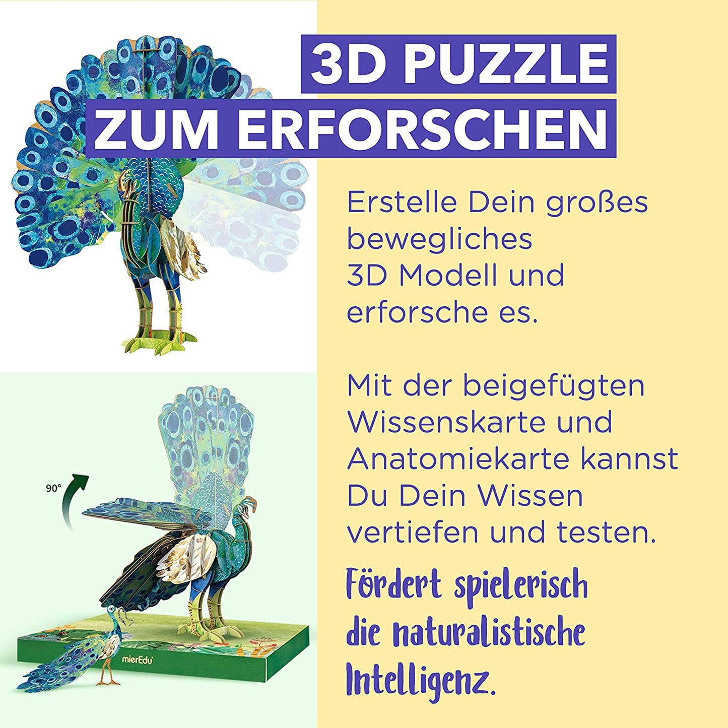 Bewegliches Eco 3D Puzzle – Pfau