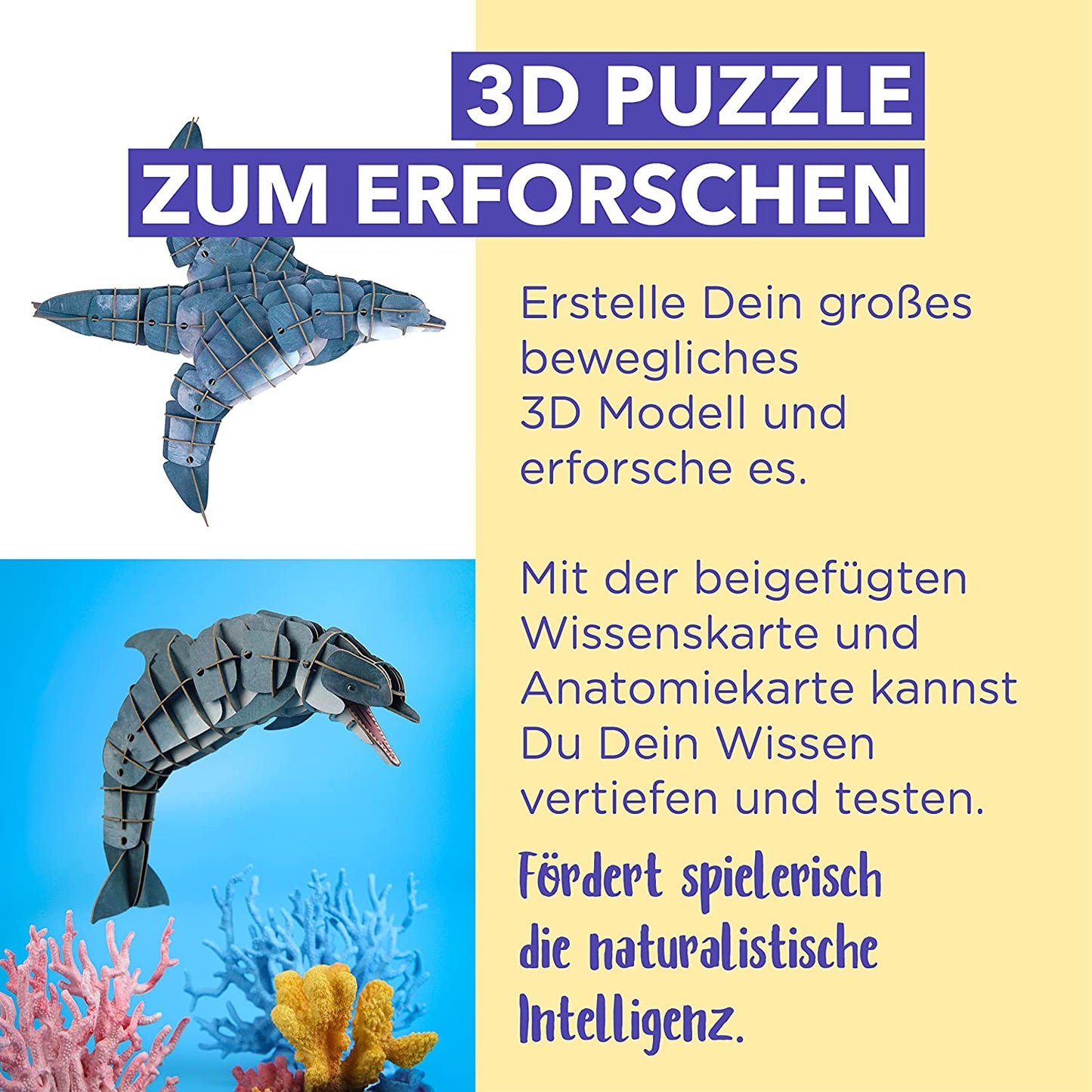 Bewegliches Eco 3D Puzzle – Delfin