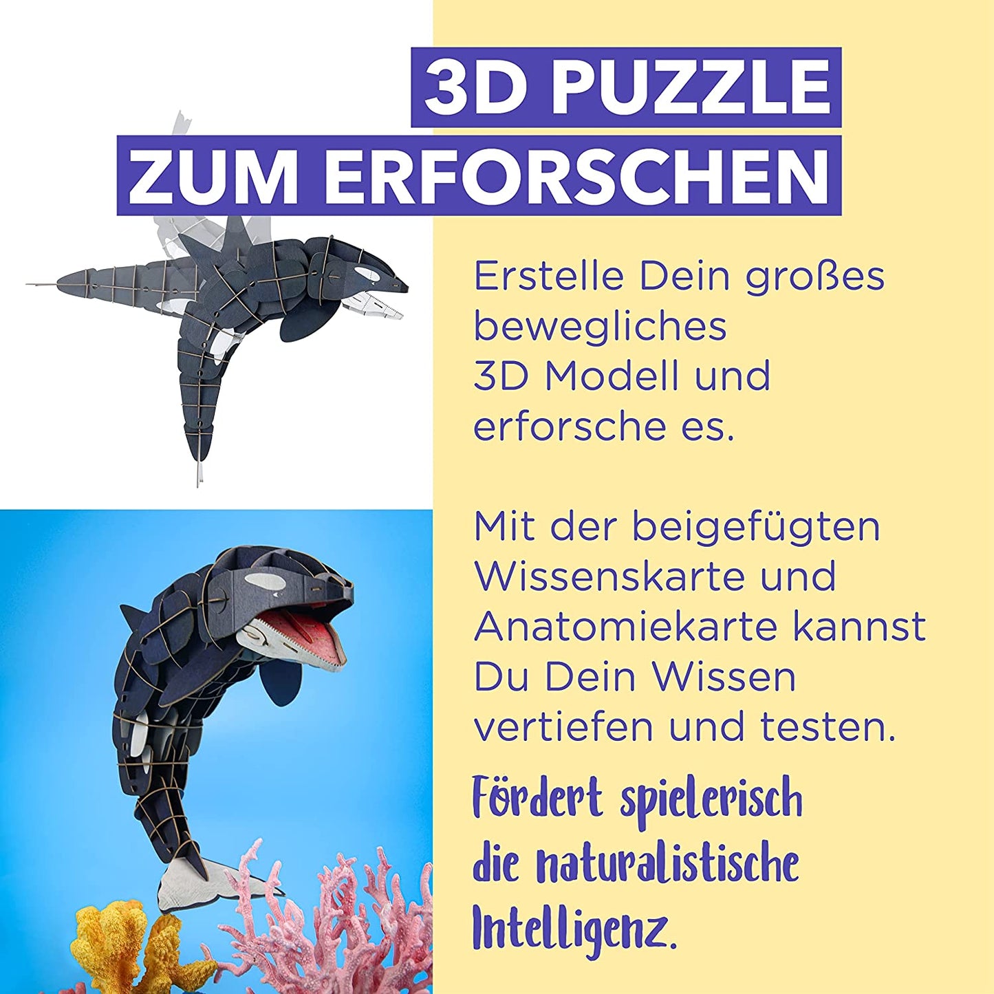 Bewegliches Eco 3D Puzzle – Orca
