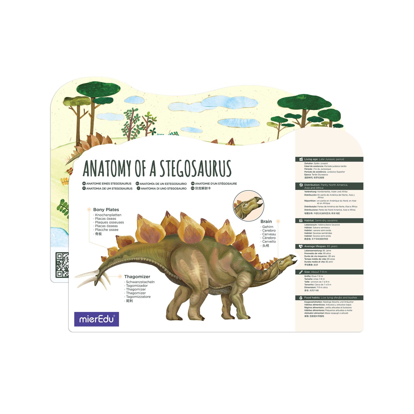 Bewegliches Eco 3D Puzzle – Stegosaurus