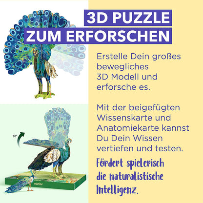 Bewegliches Eco 3D Puzzle – Pfau