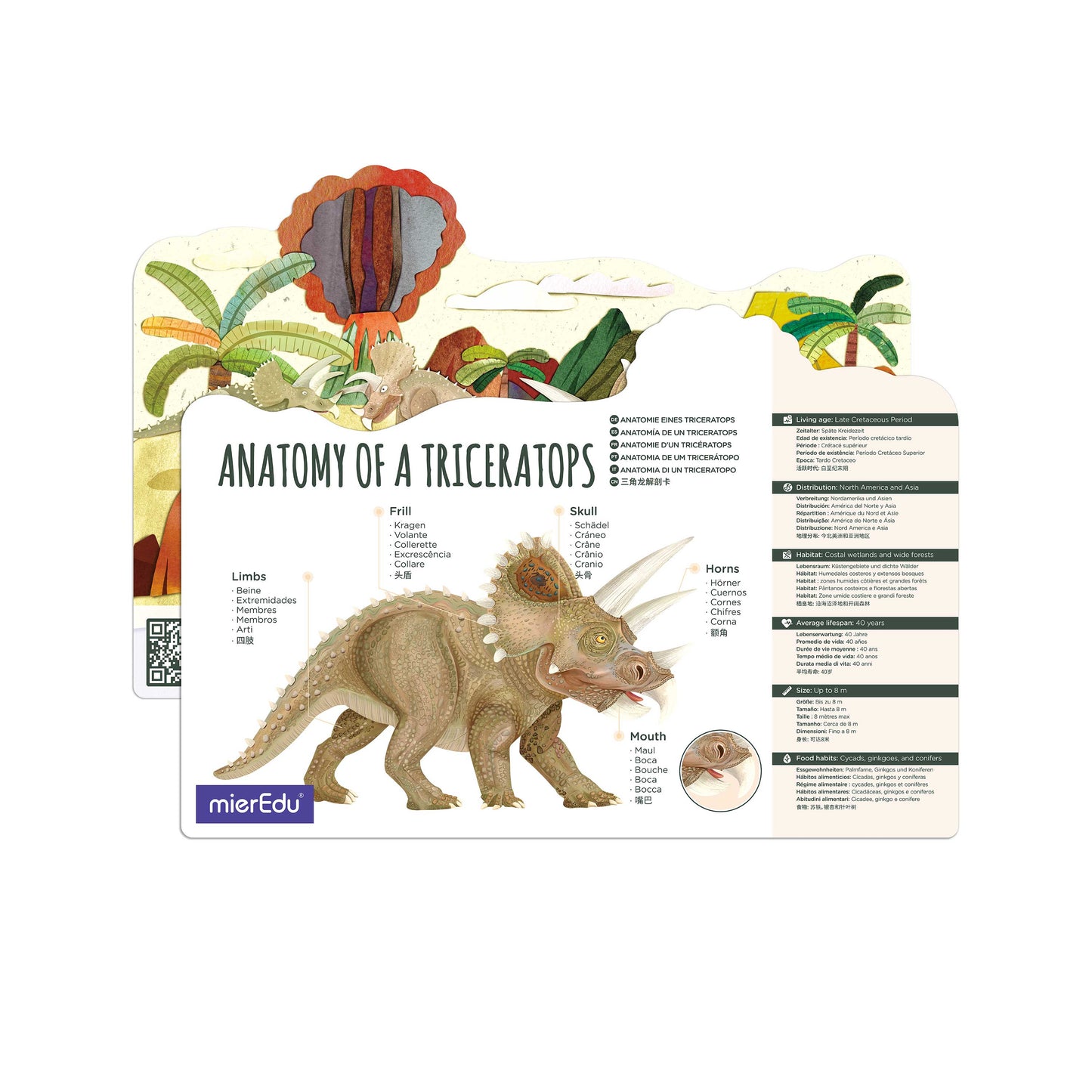Bewegliches Eco 3D Puzzle – Triceratops